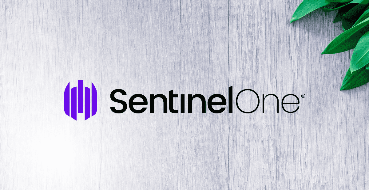 SentinelOne (S): Cybersecurity Stock Growth and Future Potential